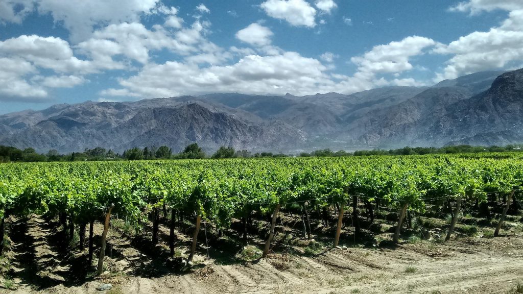Transaction domaine viticole